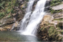 Trip Trilhas Paraty - Melancia.png